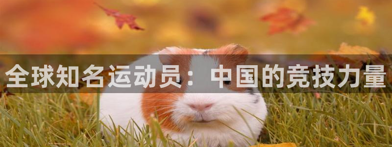 vsport体育官方正版app官网：全球知名运动员：