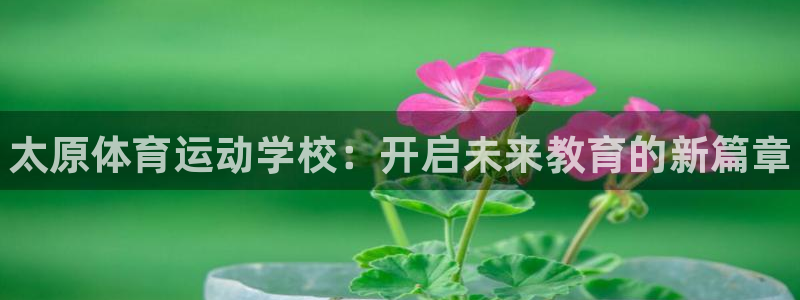 vsport体育官网下载平台注册要钱吗：太原体育运动