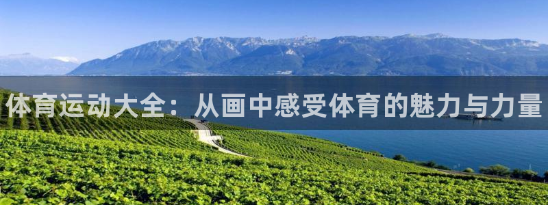 海南vsport体育官网下载发展怎么样：体育运动大全