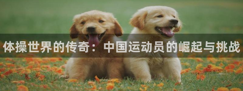 vsport体育官方正版app集团logo：体操世界