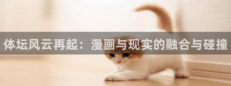 vsport体育官方正版app娱乐是那个系列的台子：
