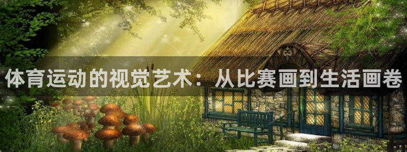 vsport体育官方正版app娱乐40996：体育运