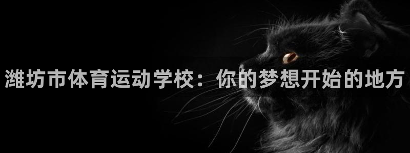 vsport体育官方正版app娱乐首页官网下载：潍坊