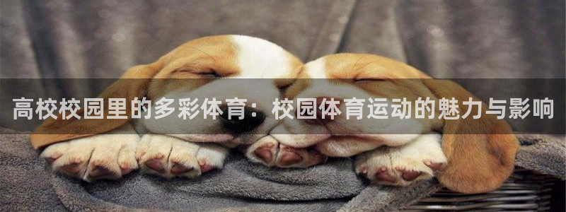 注册vsport体育官方正版app：高校校园里的多彩