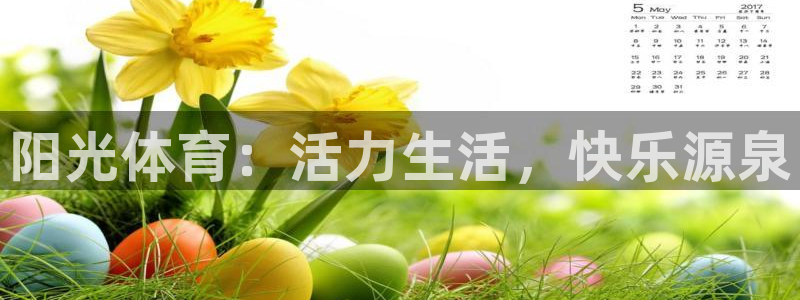vsport体育官方平台体育：阳光体育：活力生活，快