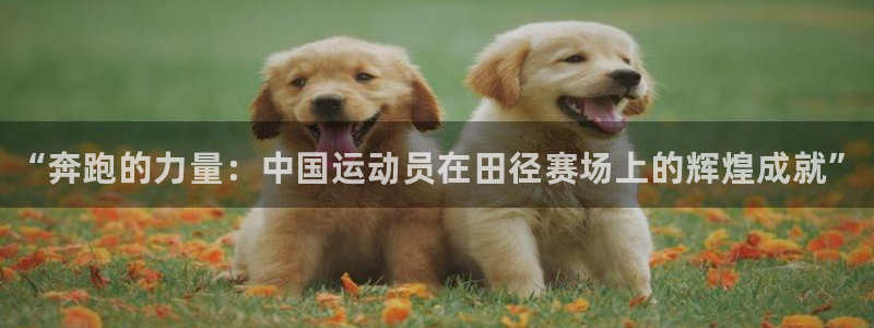 vsport体育官方正版app科技：“奔跑的力量：中国运动员