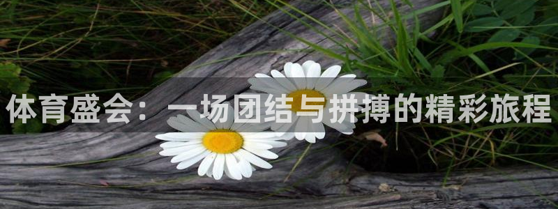 vsport体育官方正版app娱乐：体育盛会：一场团结与拼搏