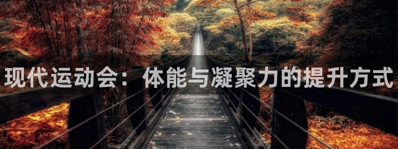 vsport体育官网下载招商电话地址查询：现代运动会