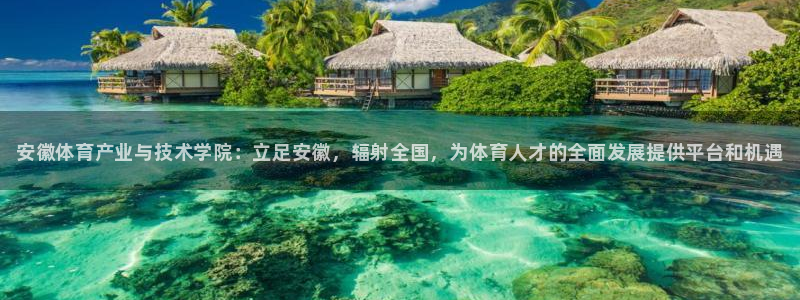 vsport体育官网下载开户：安徽体育产业与技术学院：立足安