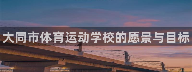 vsport体育官方正版app集团官网网址：大同市体