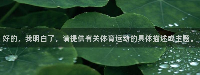 vsport体育官网下载平台是正规平台吗安全吗：好的，我明白