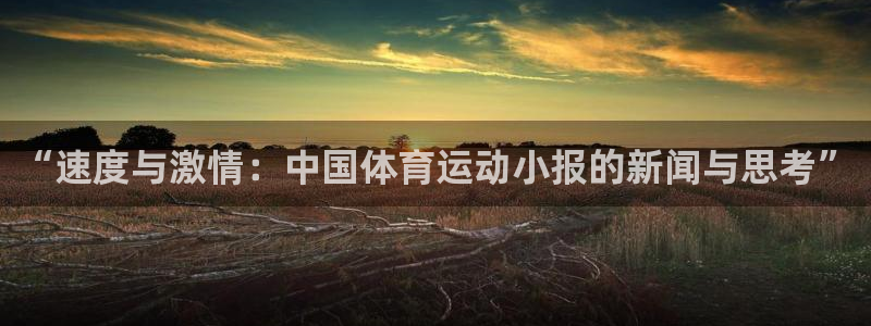 vsport体育官网下载平台假的吗是真的吗：“速度与