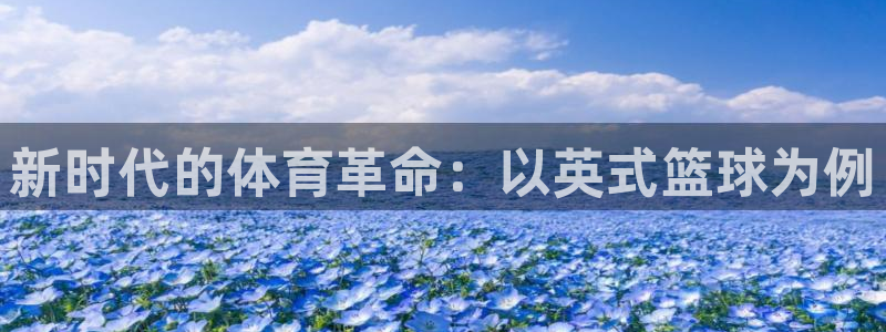 vsport体育官方正版app代理：新时代的体育革命：以英式
