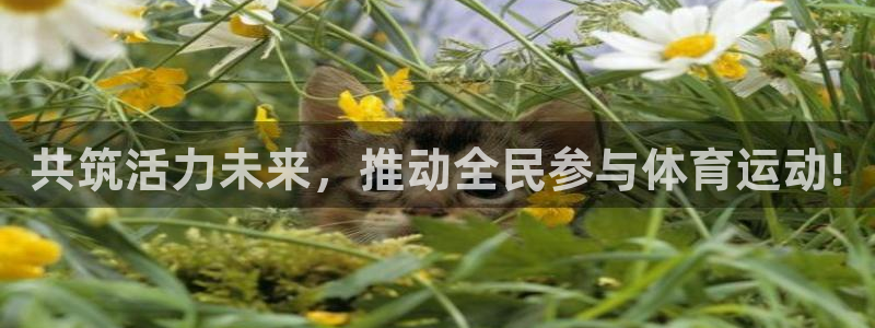 vsport体育官网下载平台注册流程图：共筑活力未来，推动全