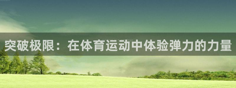 vsport体育官网下载招商：突破极限：在体育运动中体验弹力