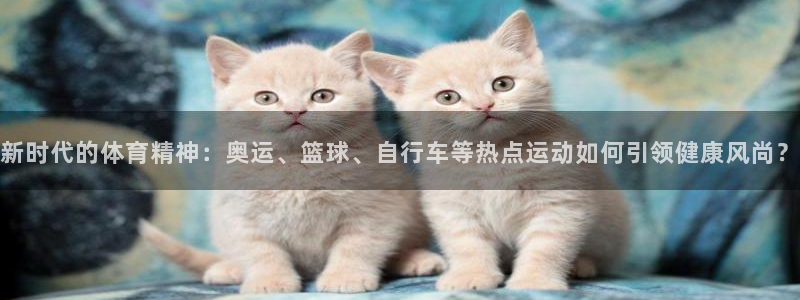 vsport体育官网下载平台注册流程视频：新时代的体