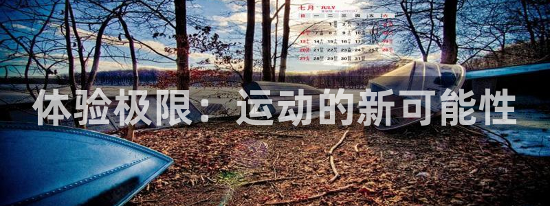 vsport体育官网下载平台假的吗是真的吗吗：体验极