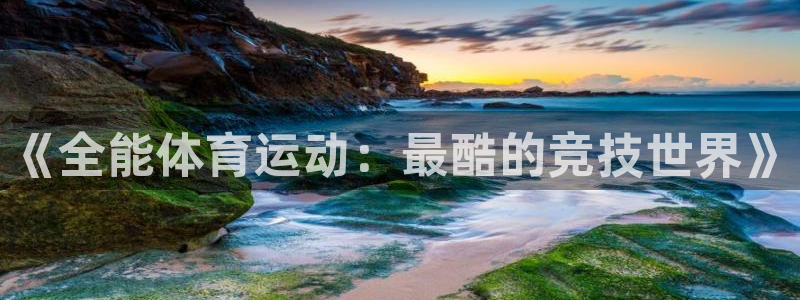 vsport体育官网下载平台注册：《全能体育运动：最