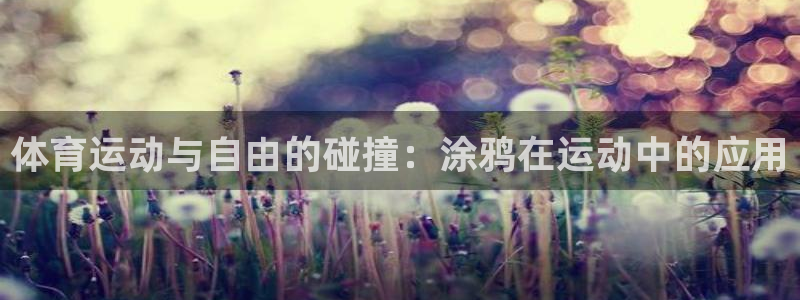 vsport体育官网下载平台假的吗是真的吗：体育运动与自由的