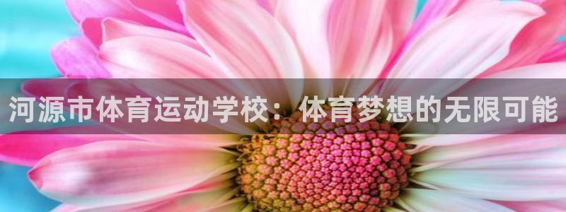 vsport体育官方正版app新能源：河源市体育运动学校：体