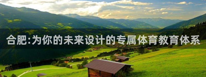 vsport体育官方正版app娱乐网站