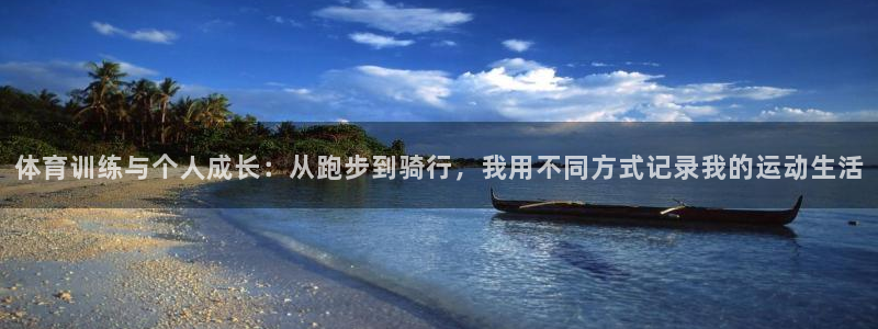 vsport体育官方正版app集团logo：体育训练