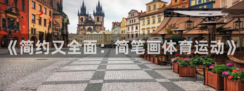 vsport体育官方正版app集团简介：《简约又全面