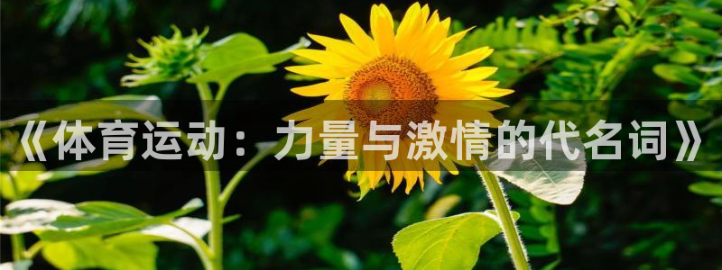 vsport体育官网下载平台注册流程视频