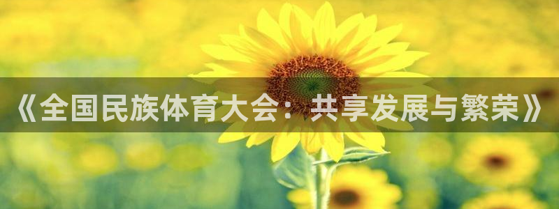 vsport体育阿根廷