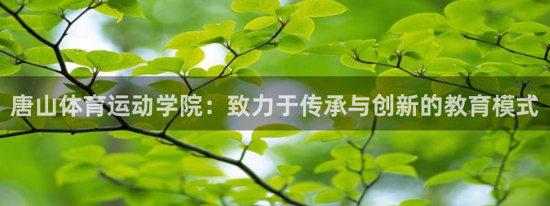vsport体育平台