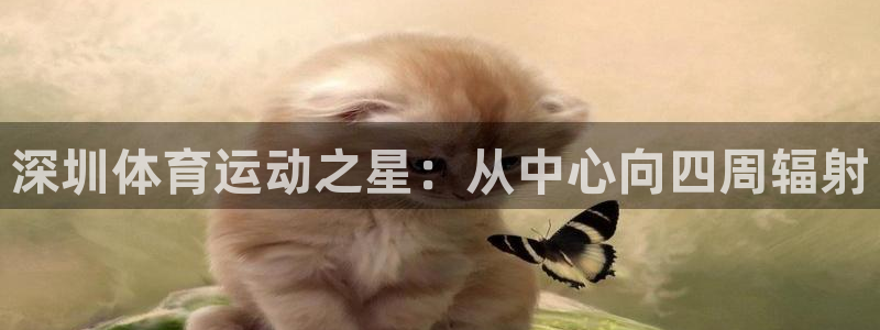 vsport体育