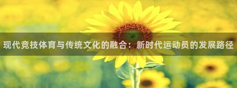 vSport体育app最新版本更新内容